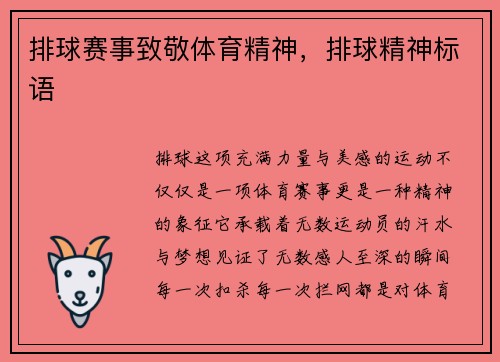 排球赛事致敬体育精神，排球精神标语