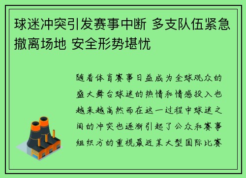 球迷冲突引发赛事中断 多支队伍紧急撤离场地 安全形势堪忧