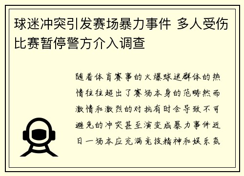 球迷冲突引发赛场暴力事件 多人受伤比赛暂停警方介入调查